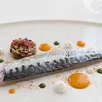 Relais & Chateaux Palazzo Seneca 4* נורצ'יה